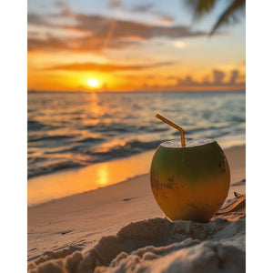Kokosnoot bij zonsondergang